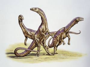 Direttamente dal Triassico Superiore l'invasione dei Grillosauri