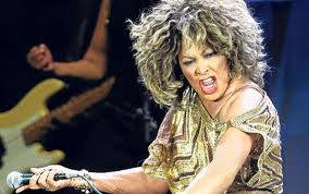 Tina Turner, spaventa-uccelli delle piste di atterraggio