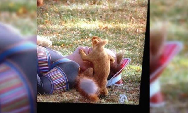 Un uomo abusato in un orecchio mentre dormiva sul prato di Central Park, NY