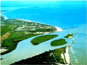 Sulla riva del flumen frigidum, l’Adige dei Latini, le traiettorie fischianti delle rondini si inseguono