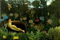 Giardini in miniatura e acquari
