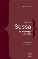 Ancora su un libro di Giovanni Sessa