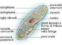 Una rispettabile famiglia di depravati -2^ parte-