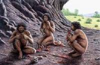 L'Homo Antecessor si cibava di bambini e carne umana. Dalla rivista Current Anthropology