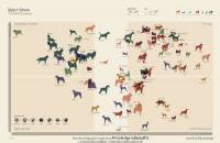 Quanto piace il tuo cane?
