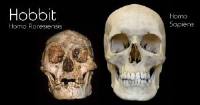 Lo Hobbit è esistito veramente, era l'Homo floresiensis dell'Isola di Flores