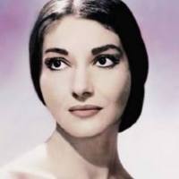 Amerà in maniera passionale l'opera Italiana