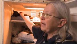 Una donna americana, seppelliva i suoi gatti morti in frigorifero
