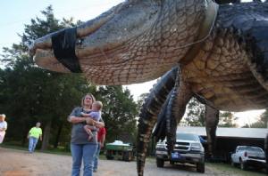 Una famiglia dell'Alabama cattura un coccodrillo gigante