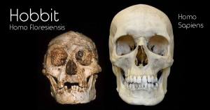 Lo Hobbit è esistito veramente, era l'Homo floresiensis dell'Isola di Flores