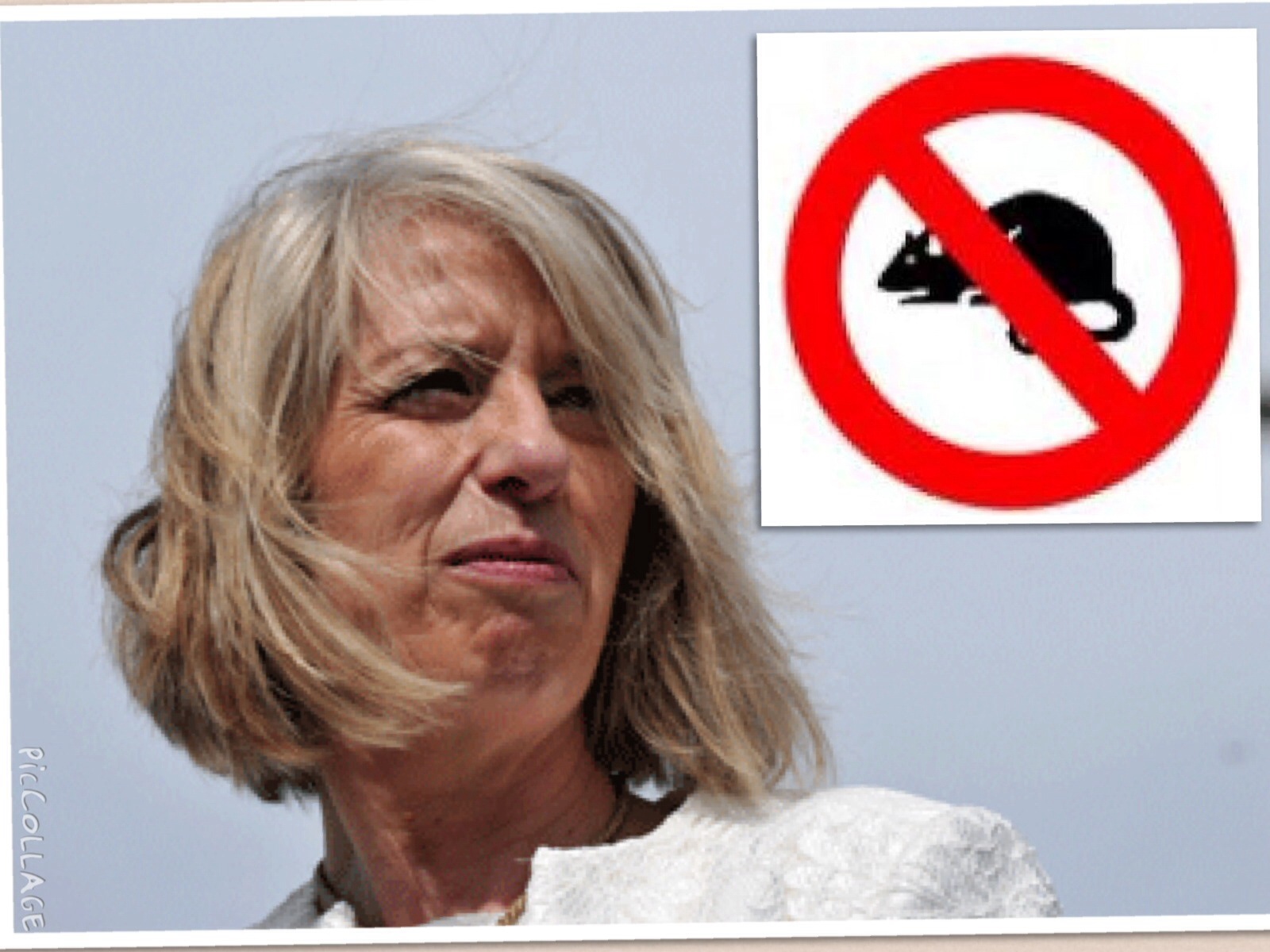 La ministro Giannini intraprende un'azione ufficiale contro i ratti del suo giardino ed è bufera politica