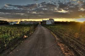 Fu sonno ieri. Domani solo terra