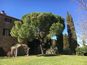 Notti di Spagna nel cuore della campagna toscana: un appuntamento musicale per intenditori tra opera, canzoni e zarzuelas.