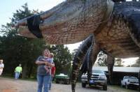 Una famiglia dell'Alabama cattura un coccodrillo gigante