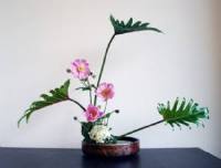L’arte dei fiori nipponica